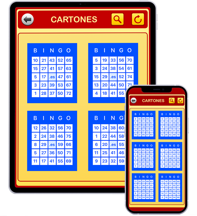 Cartones Bingo