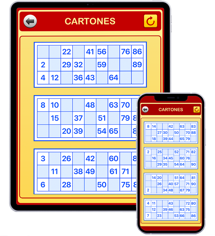 Cartones de bingo 90 en la app