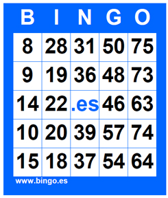 Cartón bingo 75